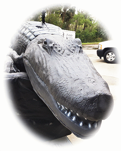 Gif- Alligator Ride, Mechanical Bull rental, Surfboard Ride  and more | JustForFunFlorida.com